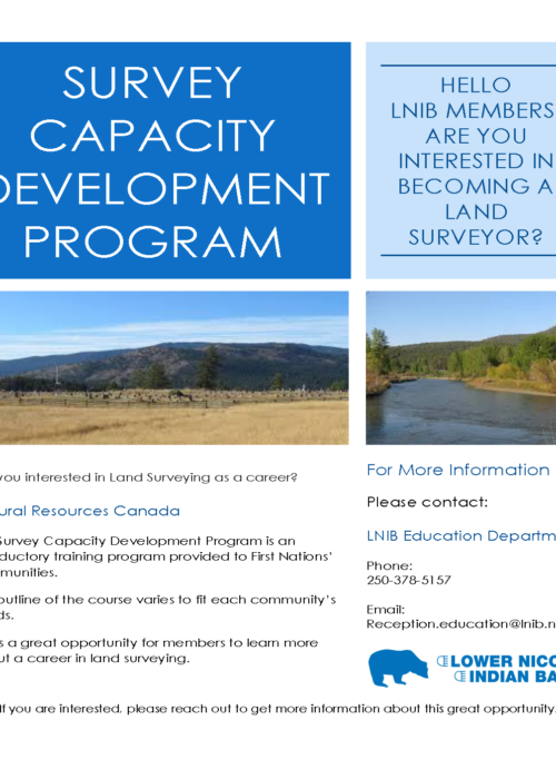 Survey Capacity Development Program Flyer parsons (002)