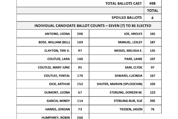 LNIB 25 Consolidated Count Declaration - Council